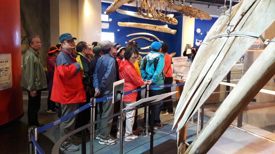 bde2a95ea6b6aadd9a3ee41a69646cbb_1476583