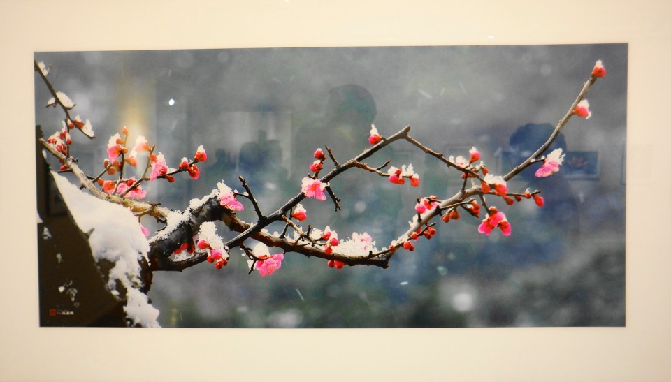 c8a3f50baf0e925332194a54e41b0c7d_1478576