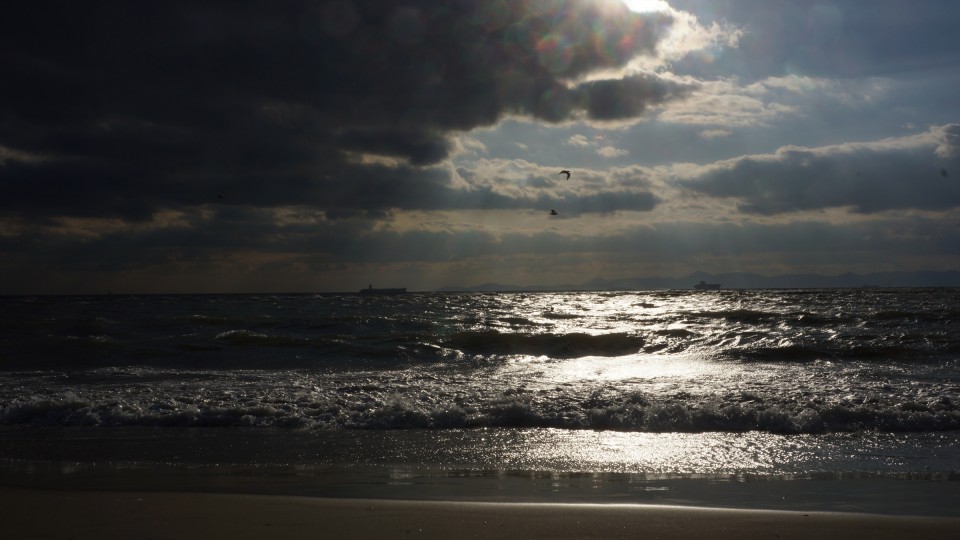 ca85769d1668906742c301e97d275283_1482755